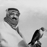 م.مَجيد | MAJID .