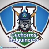 ⚾ CACHORROS HOLGUINEROS ⚾