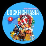 π’ COCKFIGHTASIA OFFICIAL CHANNEL π― <i class="emoji" st