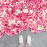 🍃🌸هم فرکانس ها🌸🍃