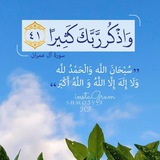 الابذكر الله تطمئن القلوب 🌱
