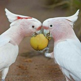 اسرارالحياه الزوجيه للمتزوجات والمقبلاات عل الزواج👩❤️👨