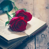 🥀 ᴄᴏʀᴀᴢᴏ́ɴ ᴇɴ ʟᴇᴛʀᴀs|•