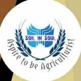Soil_in_Soul