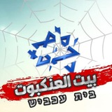 بيت العنكبوت - Cobwebs