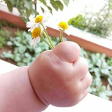 تعلم التركية محادثات تركية