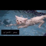 كويزات حضاره اسلاميه