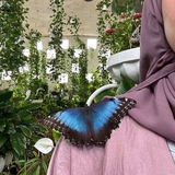 • عـالمـي الصغير 🦋 ⤹
