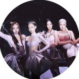 BLACKPINK ๋ธ๋ํํฌ SONG ๐ค ๐