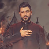 سيد فاقد الموسوي