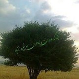 اخبار سرفیروزآباد