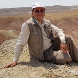 دغدغههای محیط زیستی و دانشگاهی - حسین آخانی