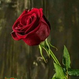 Lovely songs in tamil 💛 💛 <i class="emoji" style="backg