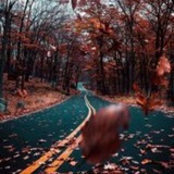 قلم وفكرة.. ✍