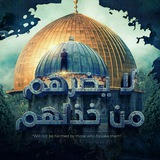 الذوق الرفييييع