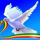 ዲን ዓባይነህ ካሤ - Dn Abayneh Kassie