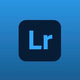 فلاتر لايت روم