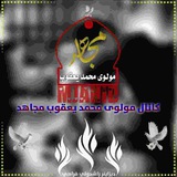 مولوی محمد یعقوب مجاهد