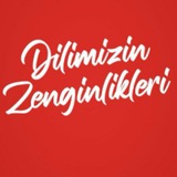 DİLİMİZİN ZENGİNLİKLERİ PROJESİ 2026 ( GÜNCEL )