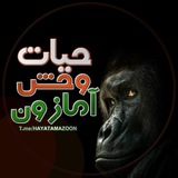 حیات وحش آمازون