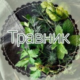 π± Π’ΡΠ°Π²Π½ΠΈΠΊ_ΡΠΈΡΠΎΡΠ΅ΡΠ°ΠΏΠΈΡ πͺ·