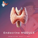 Endocrine Module | MW