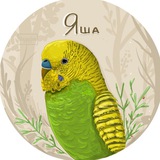 🦜 Волнистые попугайчики 🦜