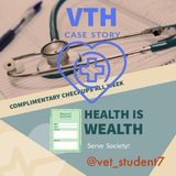 Vet Student Researchers'
