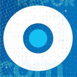 Reporte índigo