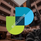 كلية دجلة الجامعة