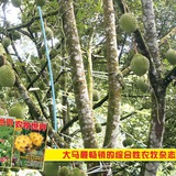 農牧世界交流群Agtech Expo
