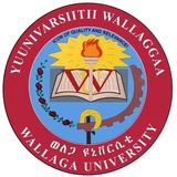WALLAGA UNIVERSITY HAPCO