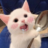 🪐 心情垃圾站 🔗