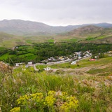 برگی از خاطرات زاویه سادات