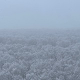 Раушенберг в слезах