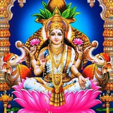 SATTA MY LIFE 6238369418