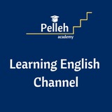 Learning Channel (آکادمی پله)