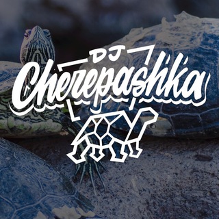 dj cherepashka