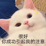 长电史