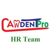 Camdent Career Channel