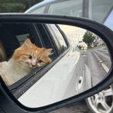 از زندگی چه خبر؟