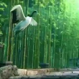 💫 💠 حس خوب زندگی<i class="emoji" style="background-imag
