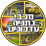 מכבי נתניה עדכונים