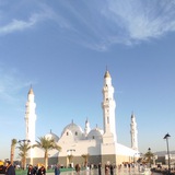 د/ صابر عبد الغنى