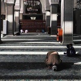 مرَارَة التَوديعِ!