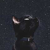 𝖣𝖠𝖱𝖪𝖭𝖤𝖲𝖲