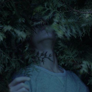 نــعناعِهیـونـگی؛ 🌿