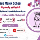 أكادمية ملاااك سكوول الإلكترونية للتدريب والإستشارات