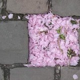 تَحفيزات دراسيَّة