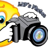 LDP Photos